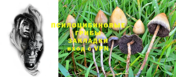 тгк Михайловск