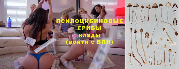 тгк Михайловск