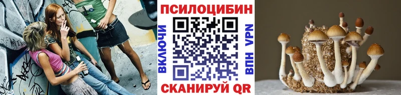 купить наркотики сайты  OMG   Галлюциногенные грибы MAGIC MUSHROOMS  Уржум 